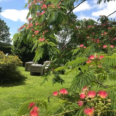 Bed & Breakfast Logis De Pierre Levee Bessines