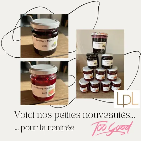 Bed & Breakfast Logis De Pierre Levee 3*