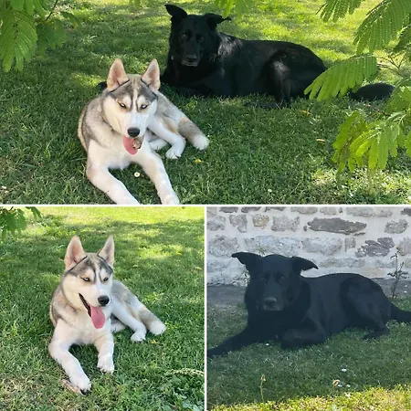 Logis De Pierre Levee Bed & Breakfast Bessines