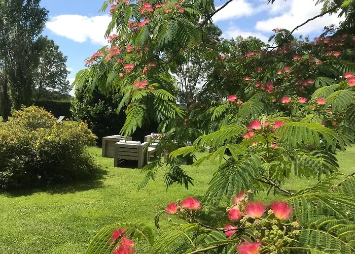 Bed & Breakfast Logis De Pierre Levee Bessines