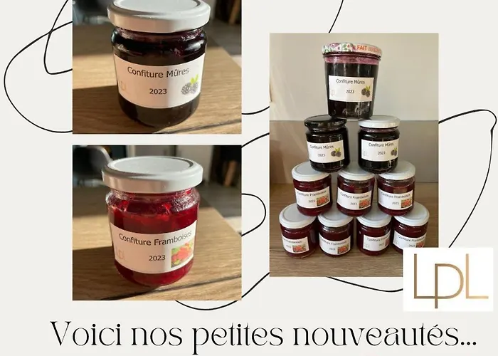 Bed & Breakfast Logis De Pierre Levee 3*